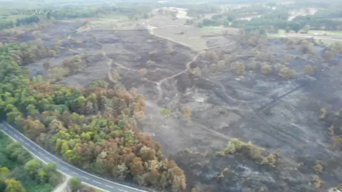 Chobham Common damaged by heath fire