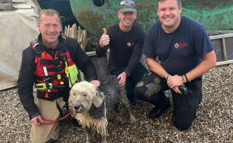 Essex Fire and Rescue Service Old English sheepdog May with the firefighters who rescued her