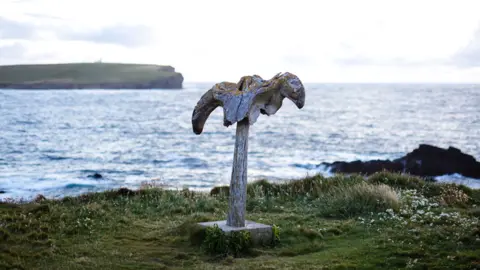 Orkney.com Whalebone