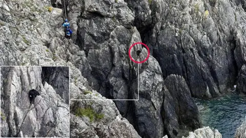 Abersoch Coastguard pictures showing where dog was rescued from and dog being rescued