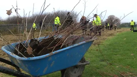 BBC People planting trees