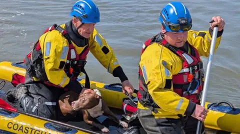 Two men dressed in yellow and black waterproof clothing and blue helmets are kneeling on a small inflatable yellow craft with the writing coastguard rescue in black text. A small brown and white dog can be seen between them. The man at the front is rowing with a red paddle and the second man is holding the dog which is lying between his legs.