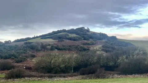 Steve Dickinson The hill believed to be The King's Mound. It is covered and grass, shrubs and small trees.