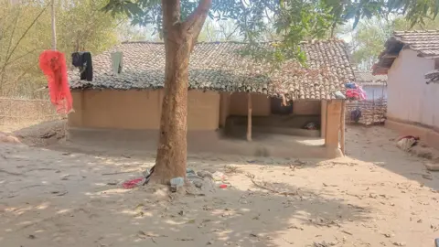 Mohammad Sartaj Alam/BBC The victim's mud home seen surrounded by trees. A clothesline with red, black and pale grey clothes is strung in front of it