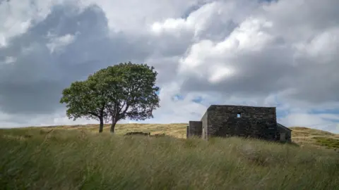 Getty Images Top Withens on the moors near Haworth, the remains of a stone farmhouse next to a tree.