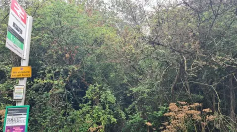 Large trees and undergrowth fill the space behind a concrete post on the left-hand side of the image with a railway and bus sign.
