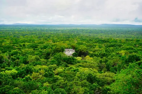 Getty Images A majestosa Pirâmide Maia 1 em Calakmul eleva-se até onde a vista alcança acima da deslumbrante copa da selva em um lindo dia na Reserva da Biosfera de Calakmul em Campeche, México