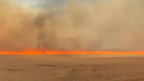 A field with a long line of orange fire on the horizon with black smoke rising from it. 