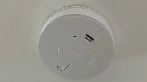 BBC A plastic circular carbon monoxide detector on a white painted ceiling. There is some vents in it and a button. There is also a small green light.