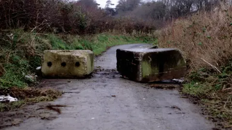 Willie Doherty Photograph of border