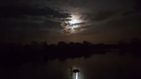 Pete Lay Lake at Stanton Harcourt