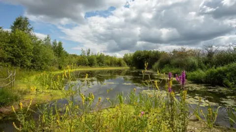 BEN ANDREW RSPB OLD MOOR