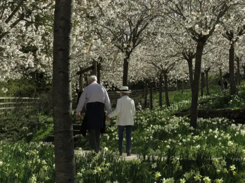 Lynsey McEwen Couple walk among trees and flowers