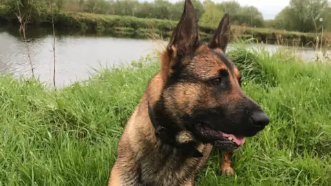 Nottinghamshire Police Quantum the police dog