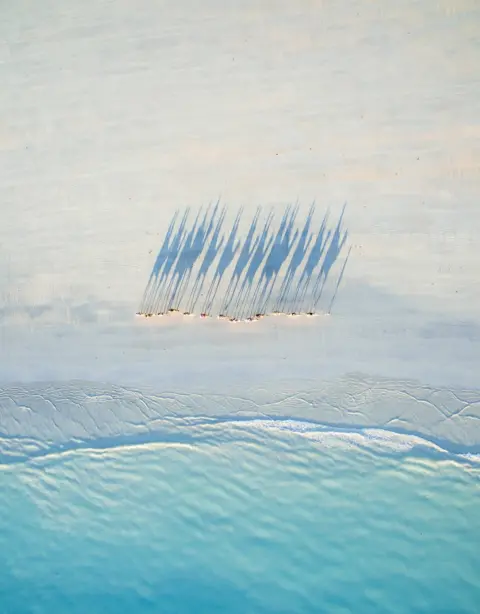 Todd Kennedy A birds eye view of a caravan of camels walking along Cable beach at sunset.