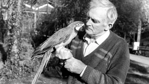 Getty Images Penscynor Wildlife Park owner Idris Hale holds a blue and gold macaw in November 1989