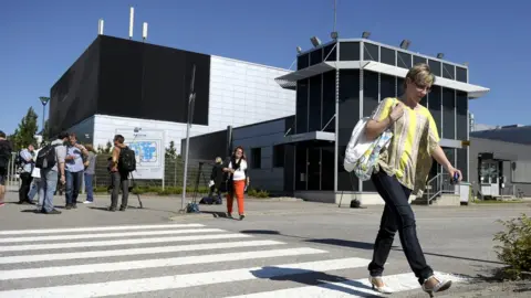 Getty Images salo plant