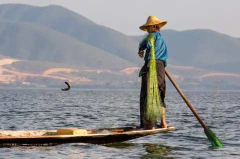 Robert Winter A fisherman tosses a fish on to his boat