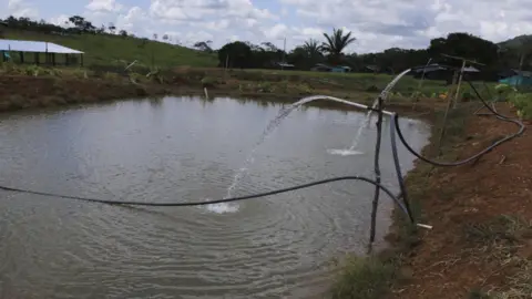 Fish pond next to the site of the Farc hotel