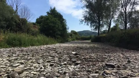 Dave Throup The dry river