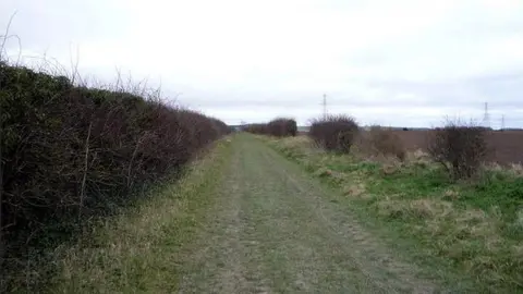 A strip of field in the countryside near Cambridge