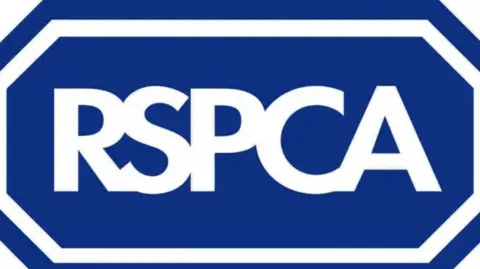 RSPCA The RSPCA logo - the white letters RSPCA on a blue background.