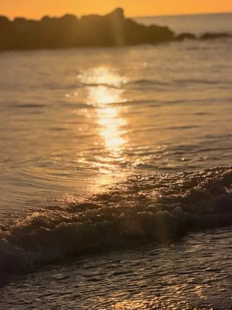 Janice Mitchell Golden sunlight reflecting on gentle ocean waves near the shore, with dark rocks silhouetted in the background at sunset.