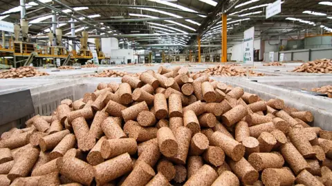 APcor Newly made Portuguese corks