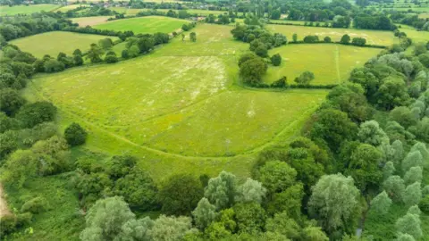 Open green piece of land flanked by large trees on three sides with more running through it. 