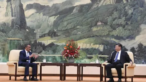 Getty Images Dr Tedros Ghebreyesus, director general of the WHO, meets with President Xi to discuss the outbreak