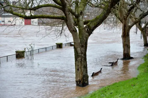 Getty Images Two submerged benches beside trees on the banks of the River Nith