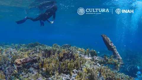 Laura Carrillo Márquez View of the anchor of the wreck