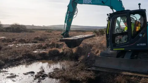 Sophie Bolesworth Blue digger moving timbers into position on the wetland