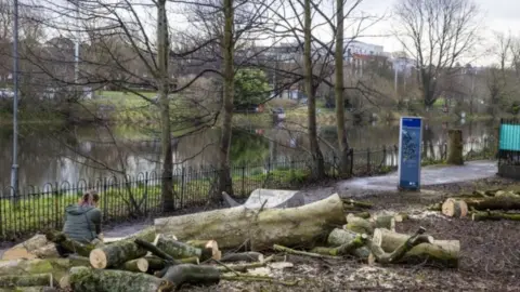 PA Media Annadale flats resident Lis McKee sits on a felled tree after a final tree clearance started on Monday at the Lockview area of Stranmillis in Belfast as part of the NI"s Department of Infrastructure Belfast Tidal Flood Alleviation Scheme