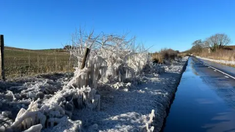 BBC Hedges covered in ice with water with blue sky