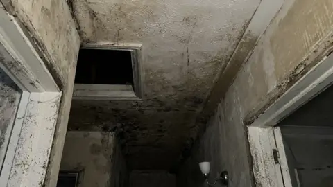 BBC Mould-covered ceiling