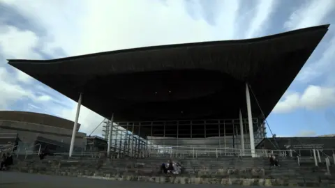 Senedd