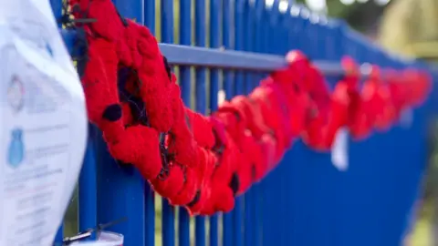 BBC Wellesbourne poppies