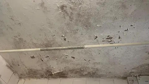 BBC Mouldy ceiling with flaking paint