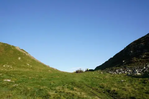 PA Media/Owen Humphreys The gap missing the tree