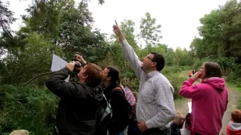 Daniel McAfee Red squirrel spotting