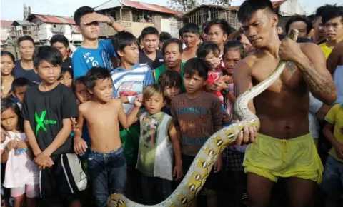 AFP Villagers capture a python on Christmas Day in the typhoon-hit city of Ormoc, Philippines, 25 December 2019