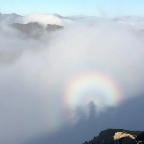 Carol Purcell Carol Purcell's brocken spectre