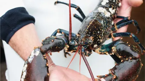 Getty Images lobster