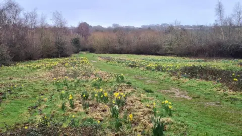 BBC Weather Watcher Sam SATURDAY - Newchurch, Isle of Wight