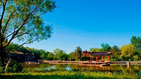 Liverpool City Council Liverpool Festival Gardens