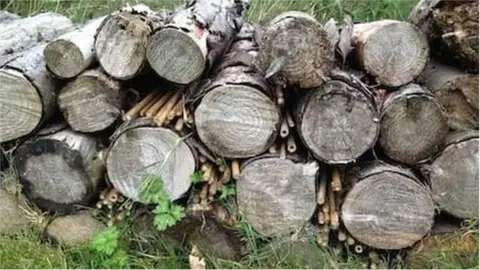 Blackburn with Darwen Council Logs