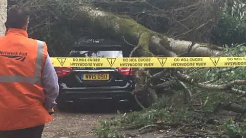 The car underneath the tree in Cathays, Cardiff