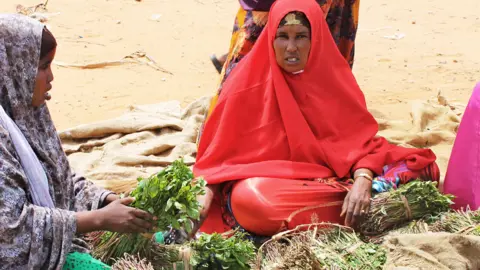 AFP Women selling bundles of khat at a market in the Somali capital, Mogadishu - archive shot