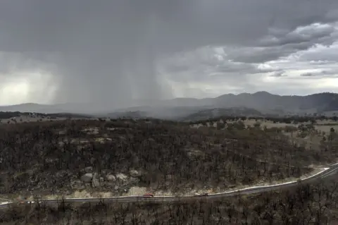 Getty Images Rain begins to fall on drought and fire-ravaged country near Tamworth, New South Wales